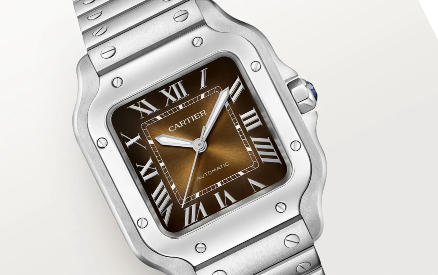 Cartier Santos 2024 WSSA0065 WatchProject 21 Shop